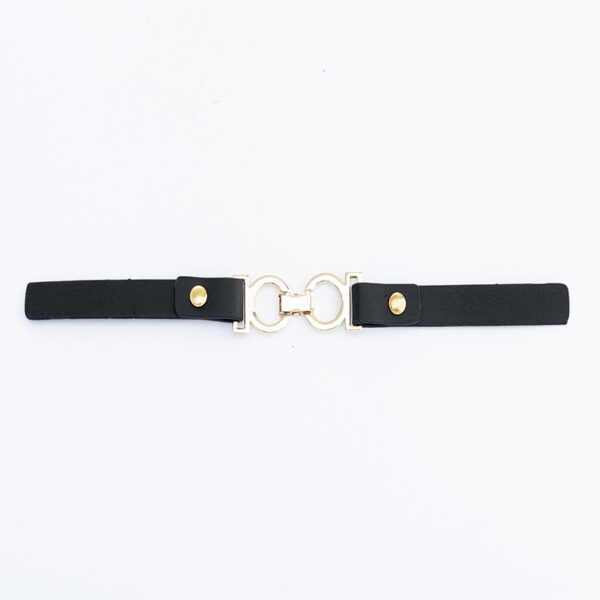 Clothing Leather Alloy Double Ring Buckle - Image 4